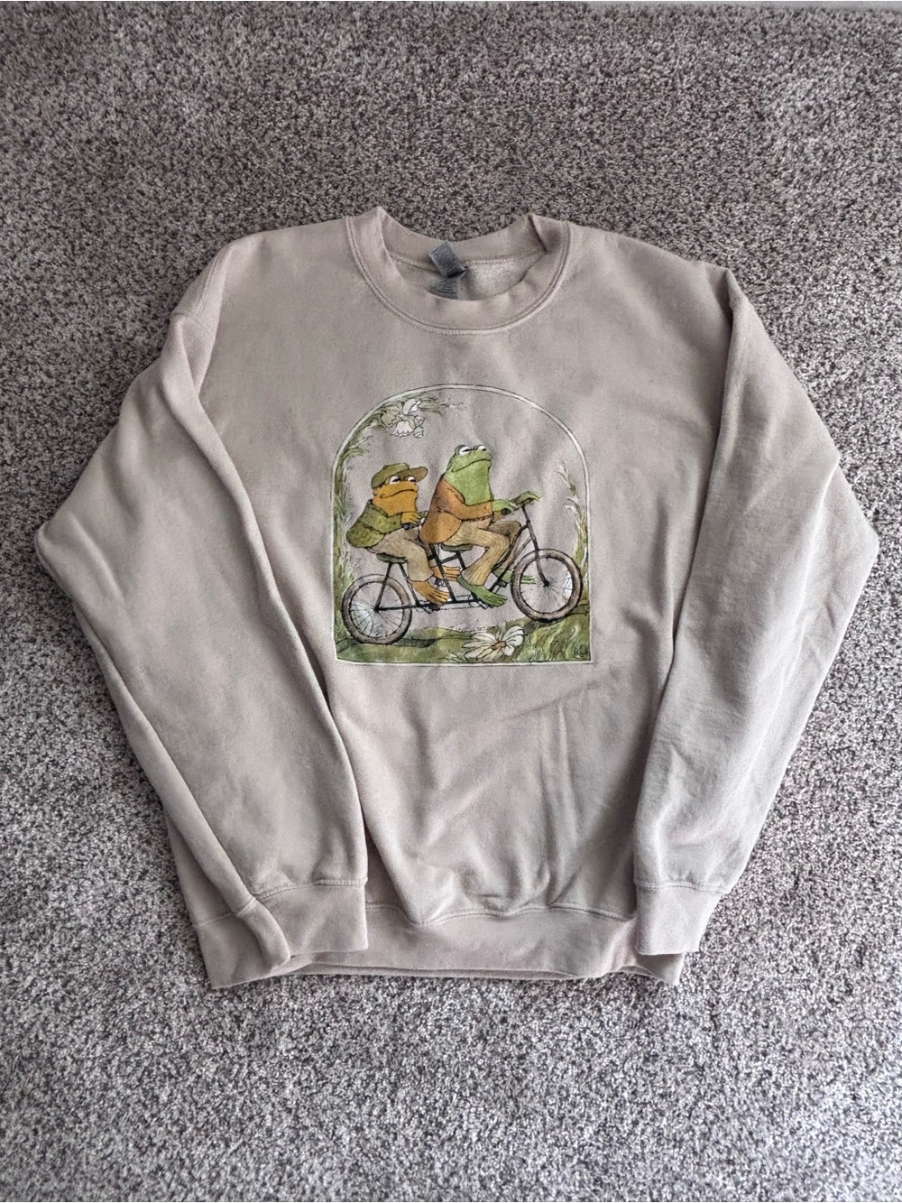 Frog and Toad Graphic Sweatshirt